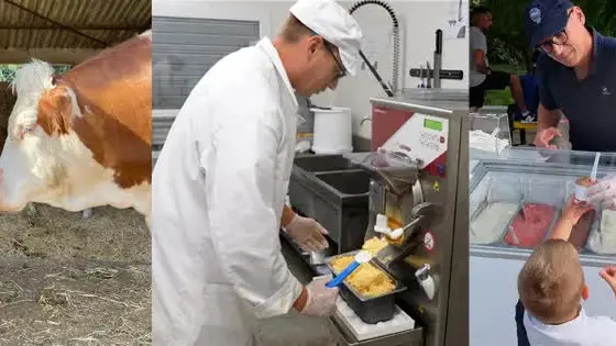 Trois scènes : avec les vaches, en laboratoire de fabrication, et à la vente directe.