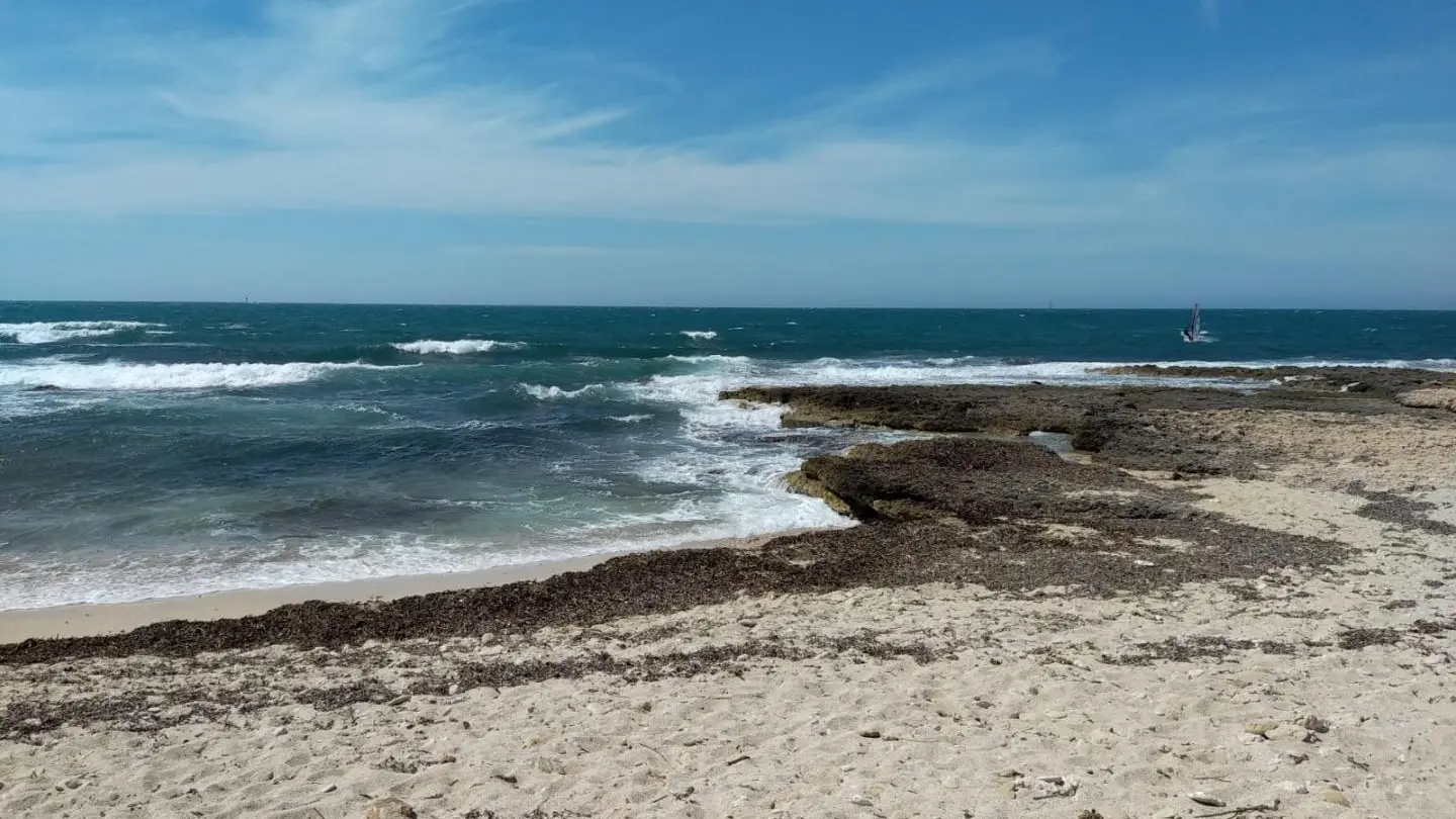 Bord de mer, à 5mn du gîte