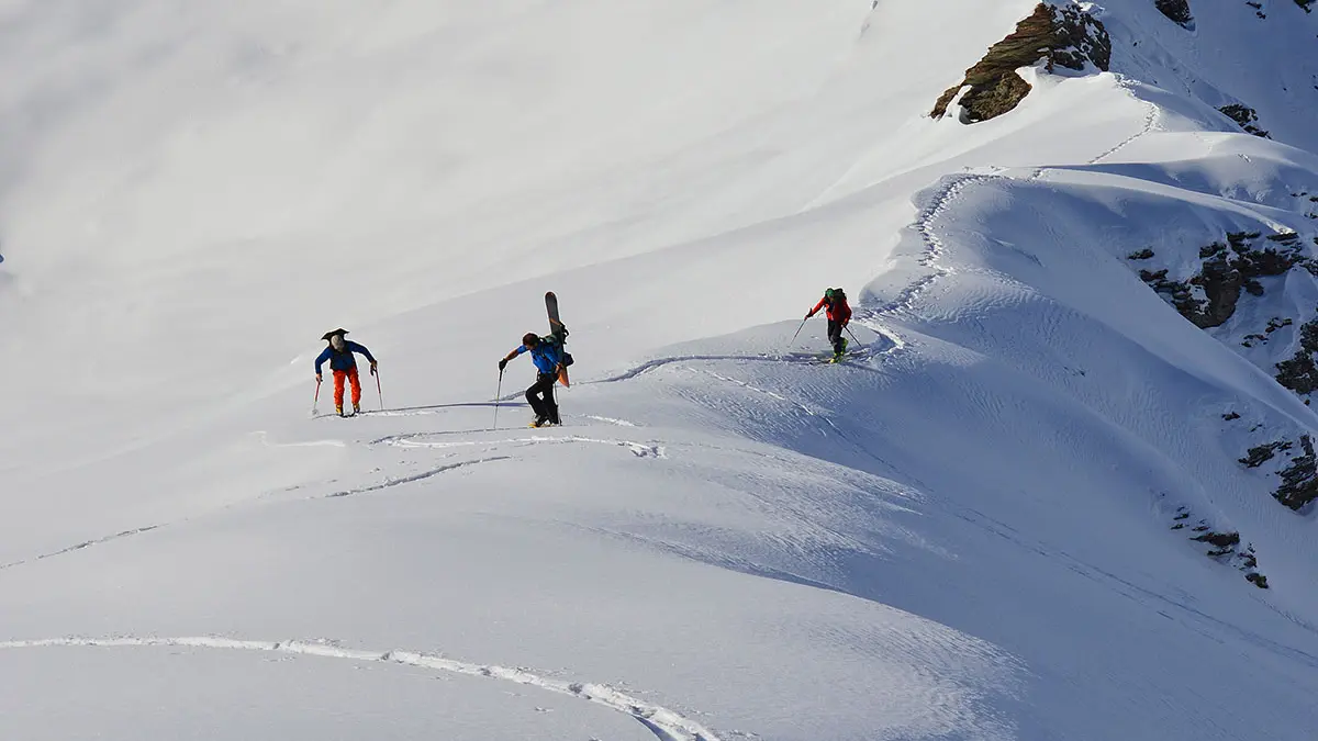 Ski de randonnée