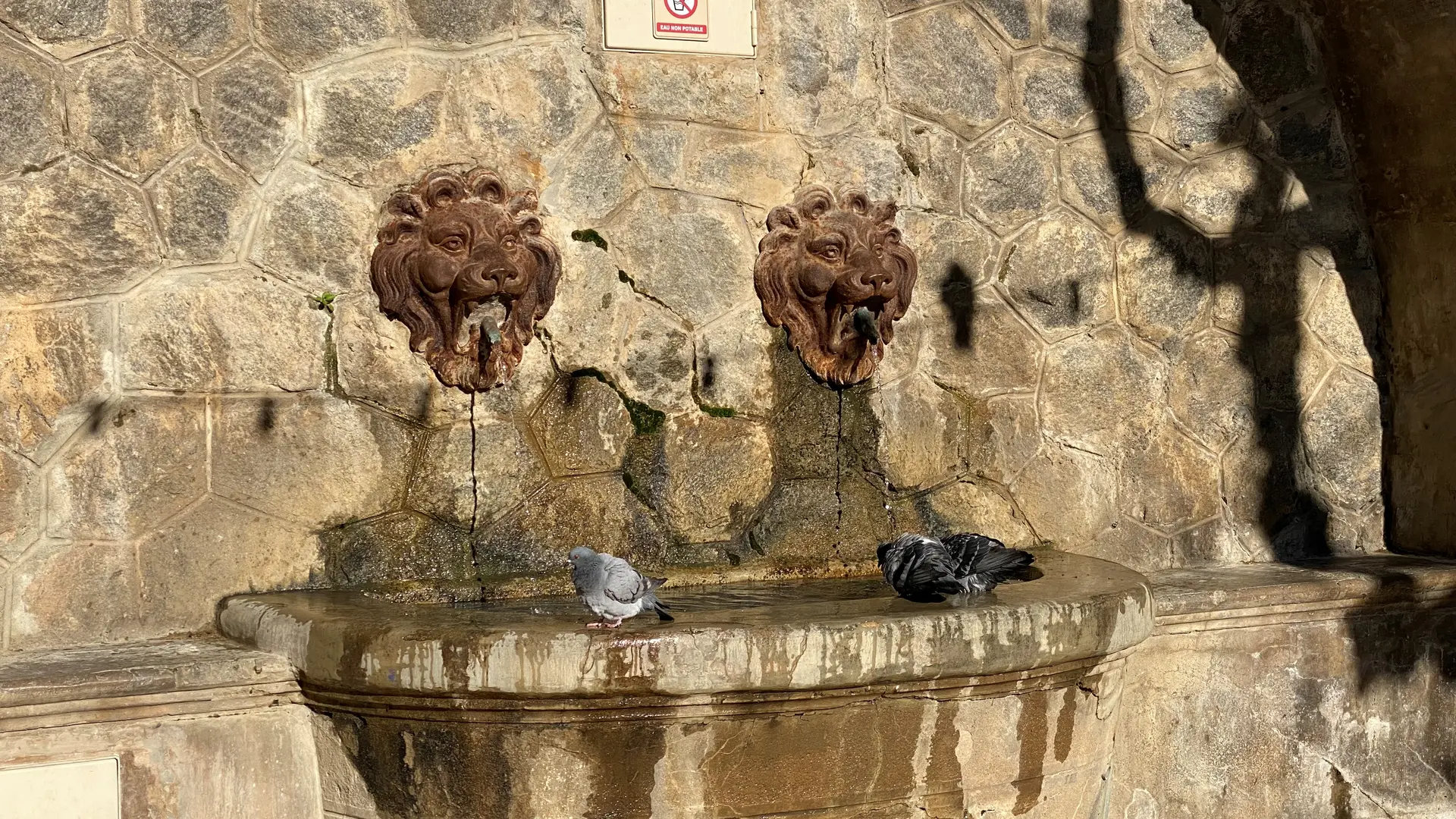 La fontaine