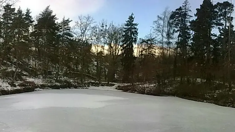 L'etang en hiver