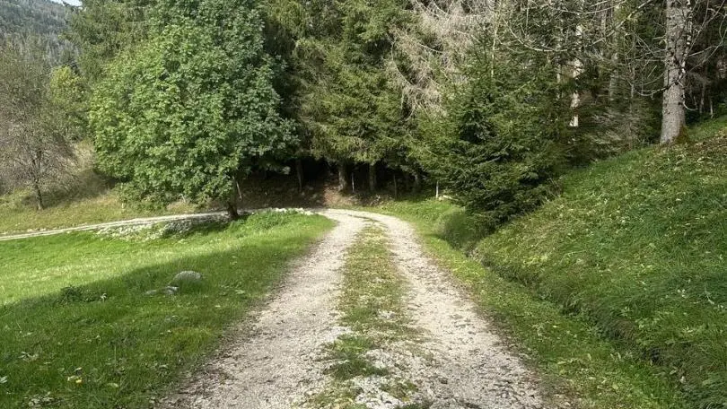 La route d'accès à la propriété. L'hiver, un stationnement possible en bas.