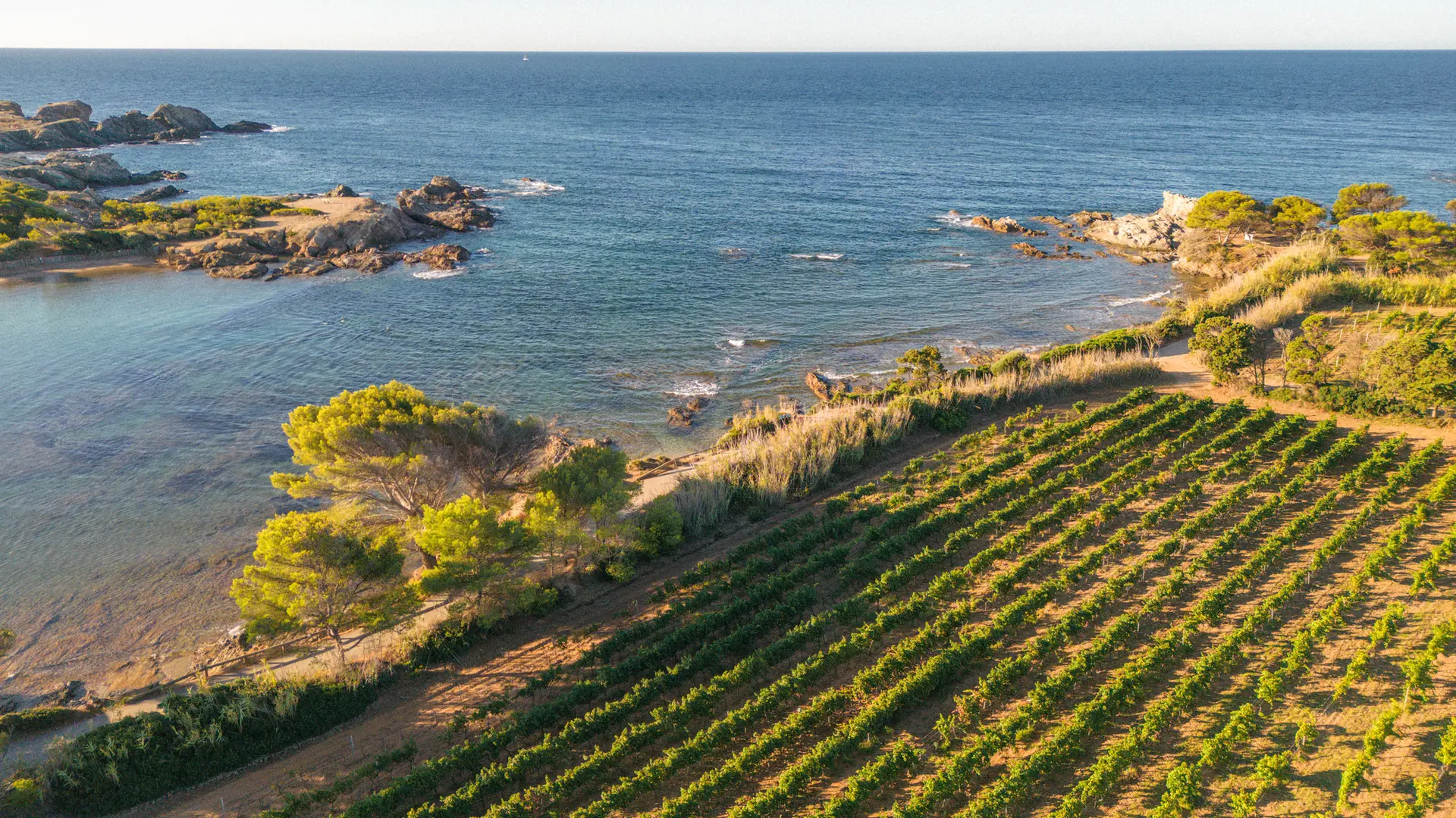 Die Domaine Ile des Embiez