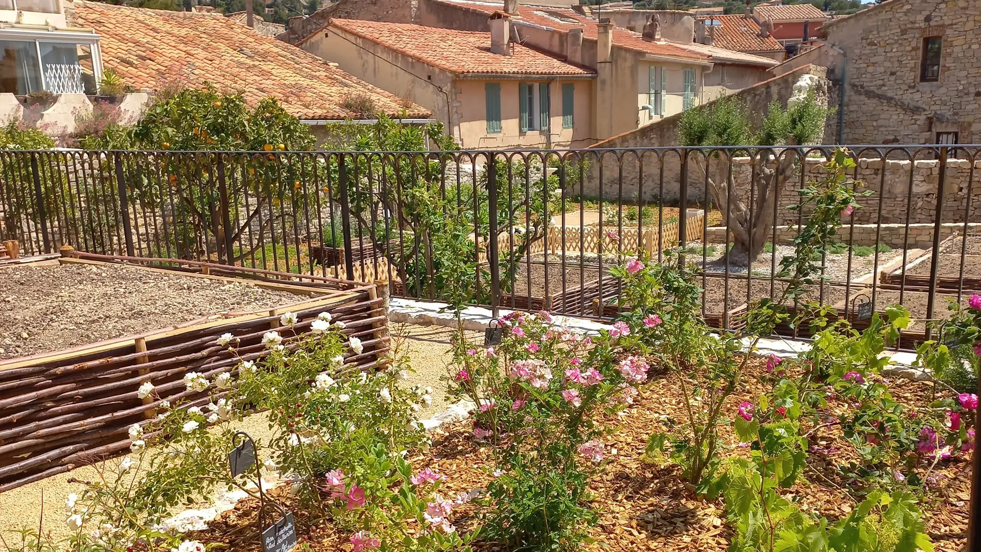 Jardin des Cédrats - Ollioules