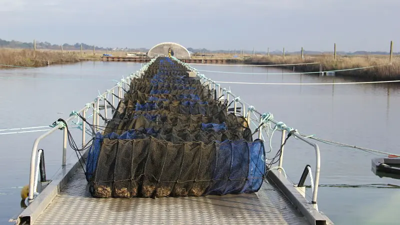 Le bassin à lanternes