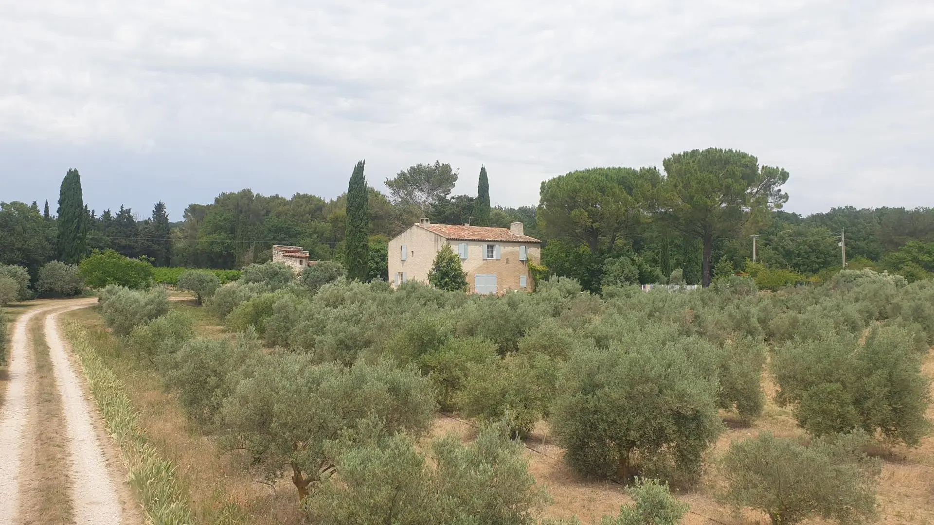 maison vue depuis le bas du champ
