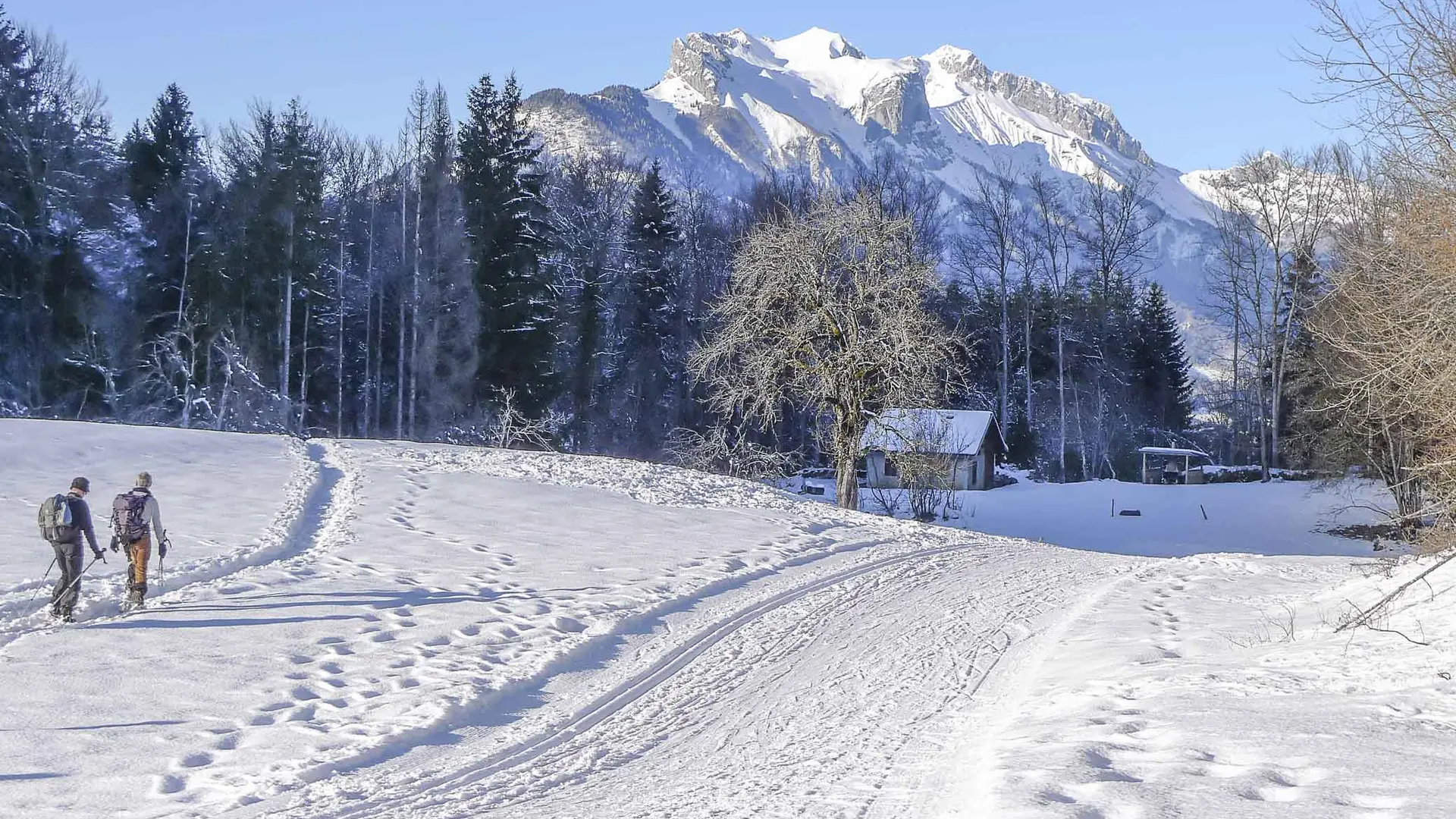 piste de ski nordique