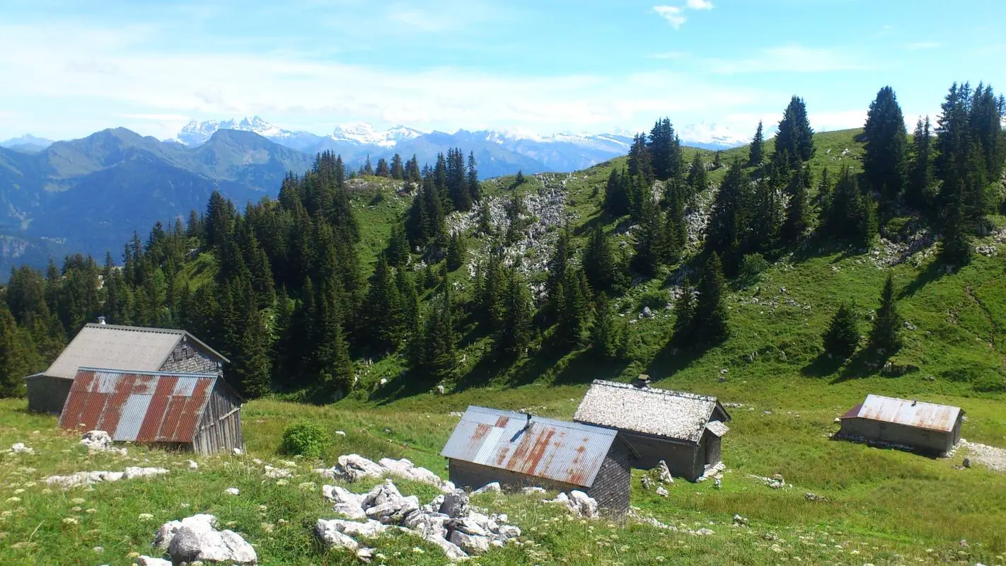 Alpages de Niflon, 2h de marche.