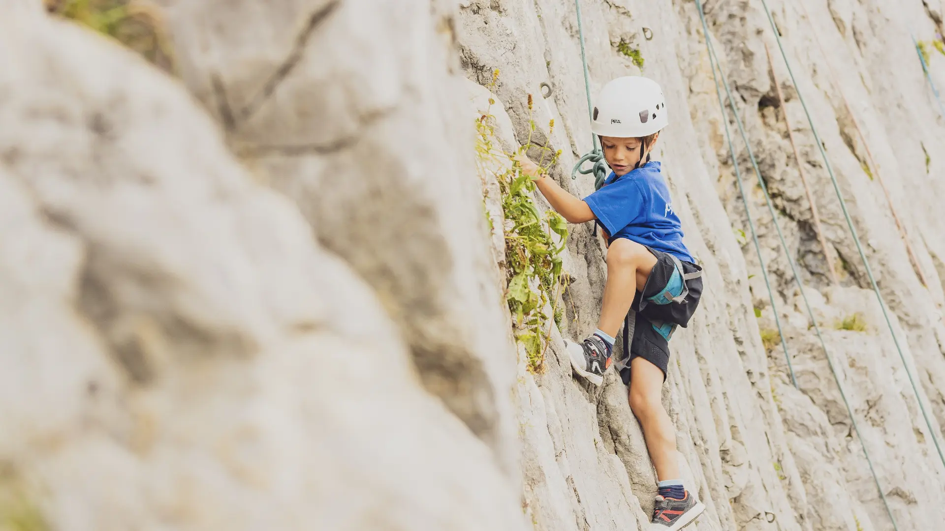 Stage d'escalade au Grand-Bornand pour les 8-12 ans