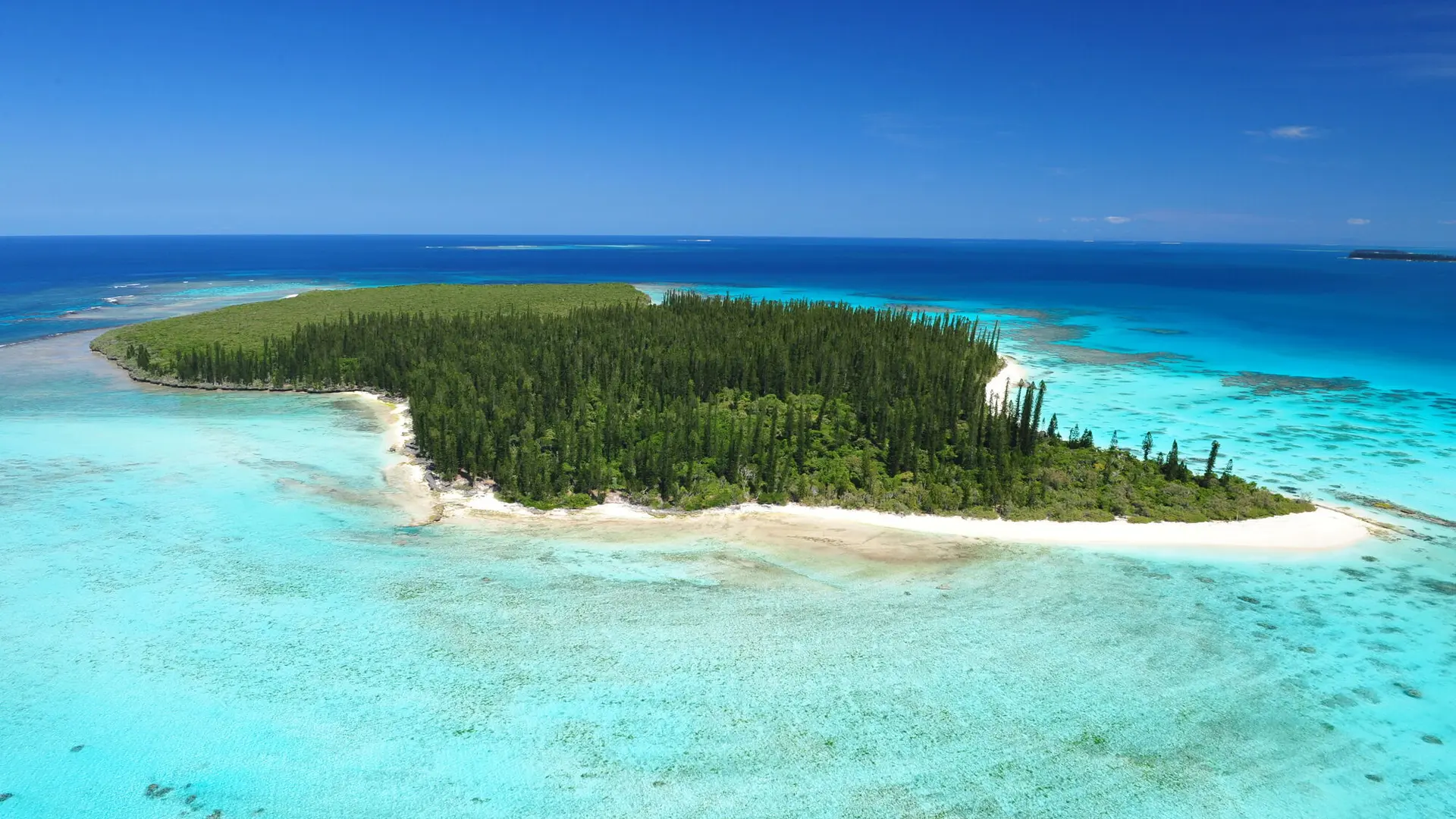 The Brush Island on the Isle of Pines