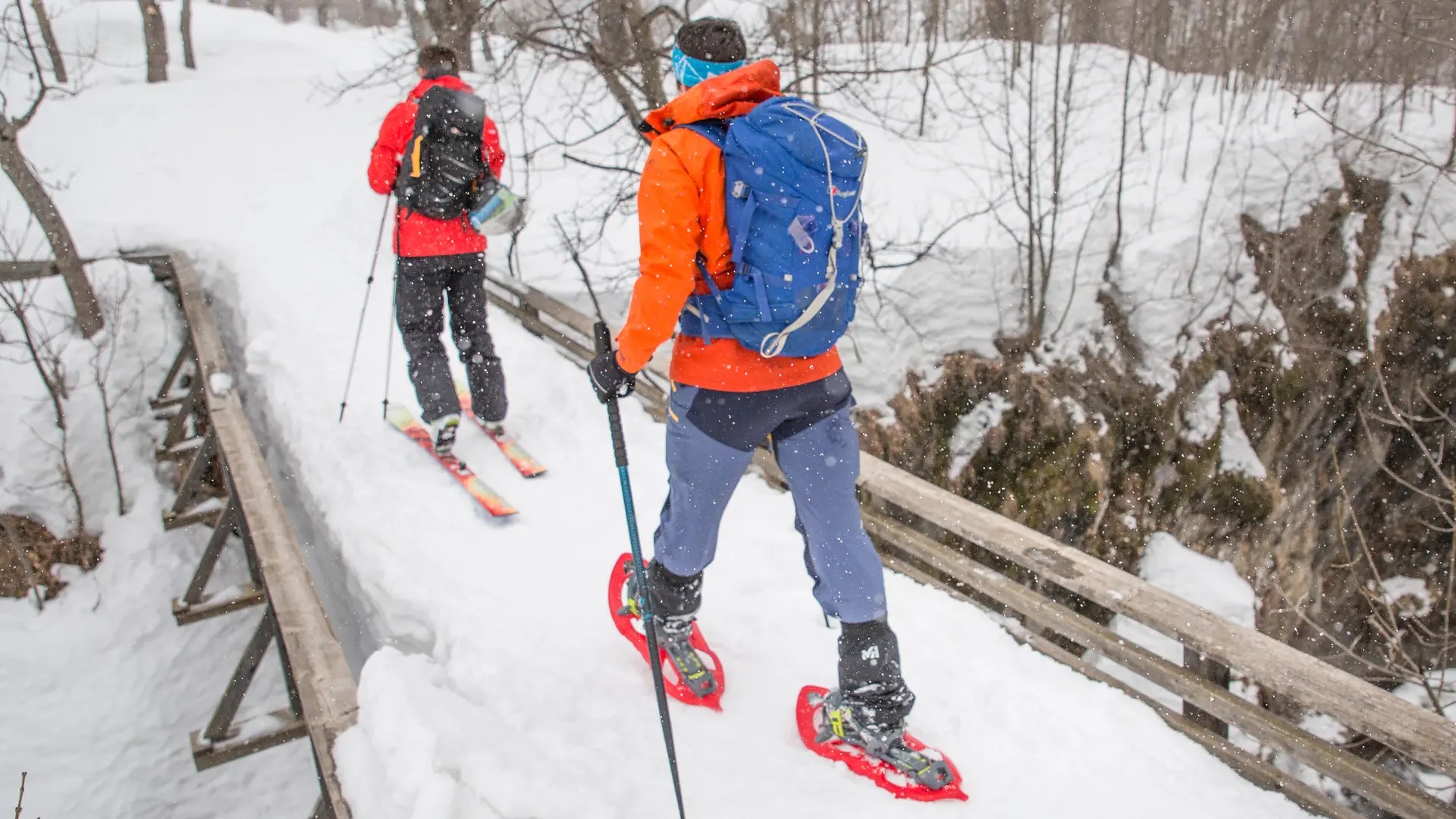 Ski de randonnée