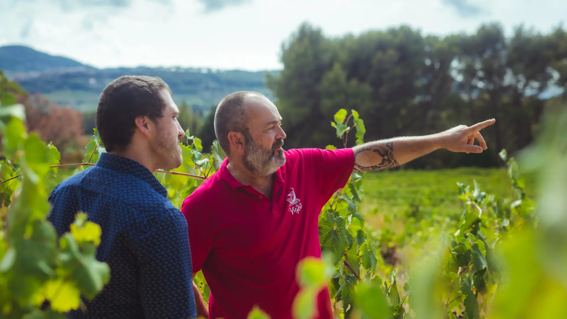 Au Clair de la Vigne