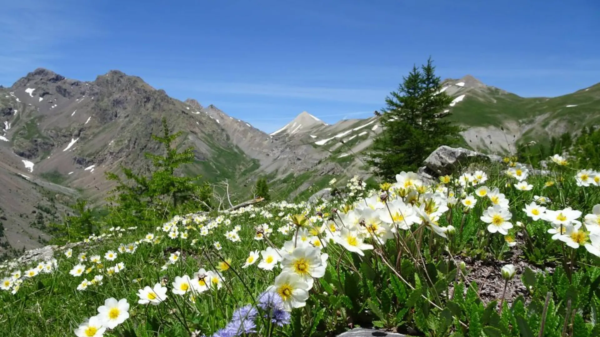 Sur les traces des bergers