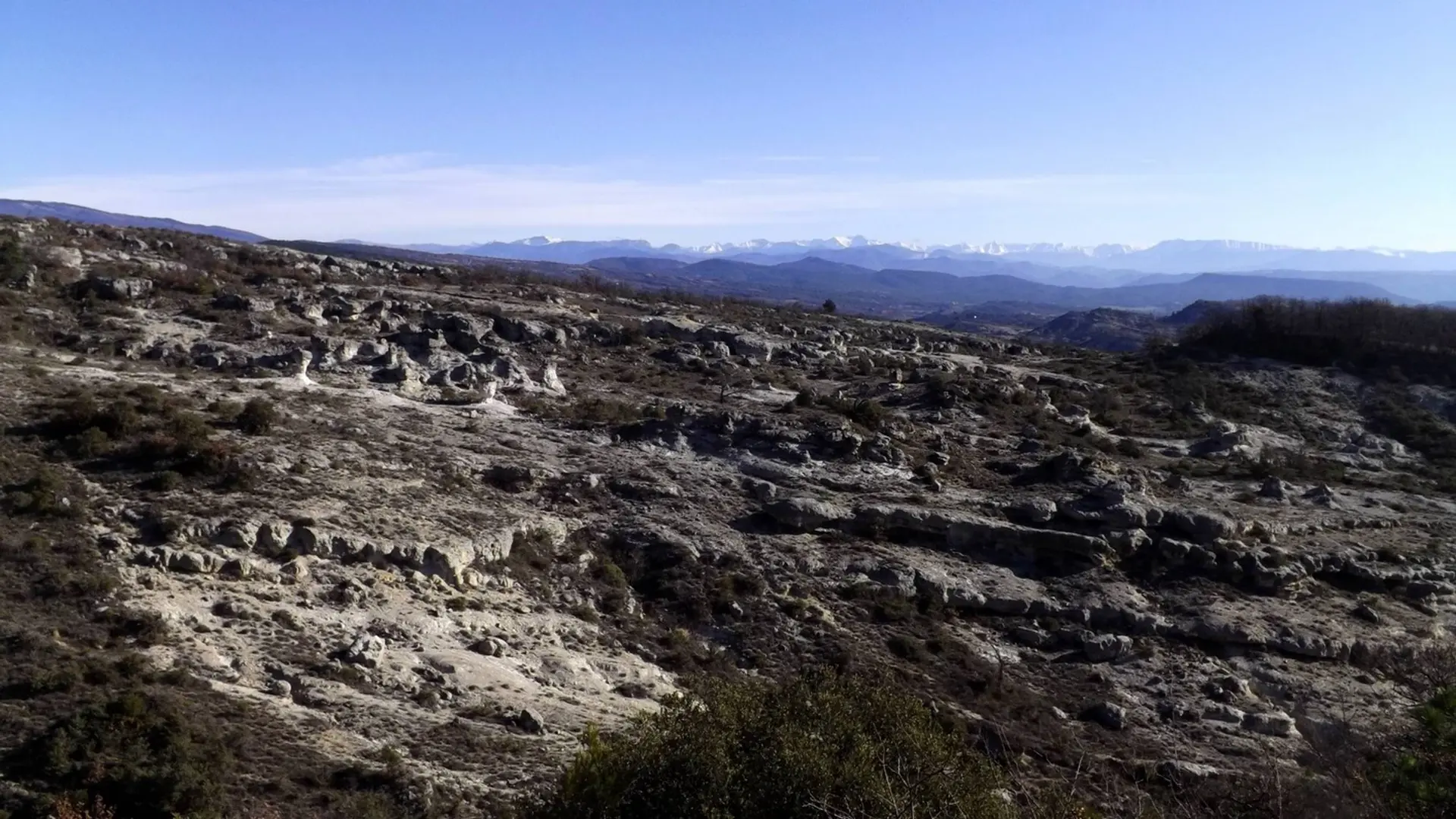 Les Mourres et les Alpes au fond...