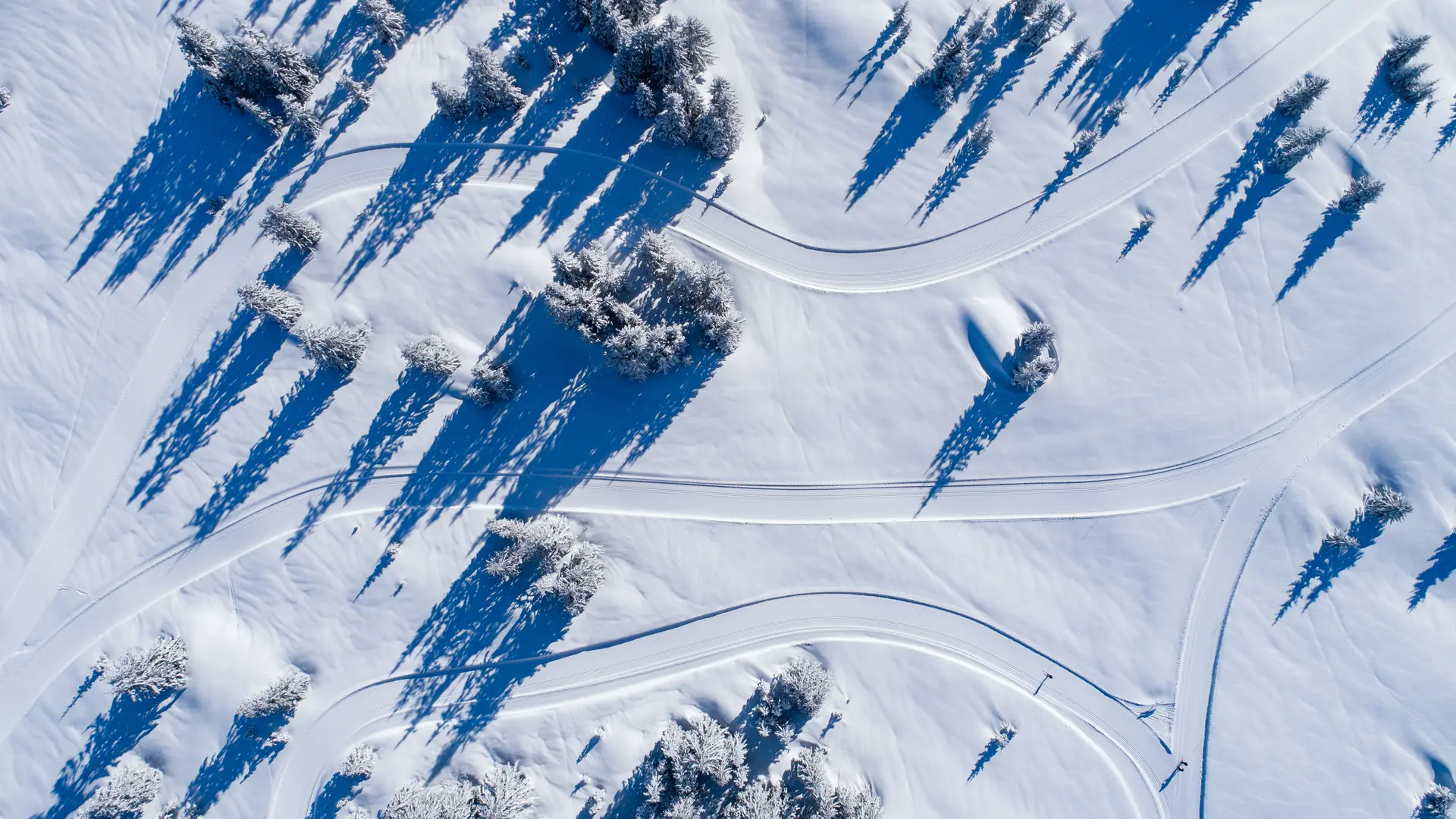 Les pistes s'entrelacent entre plateau dégagés et forêts