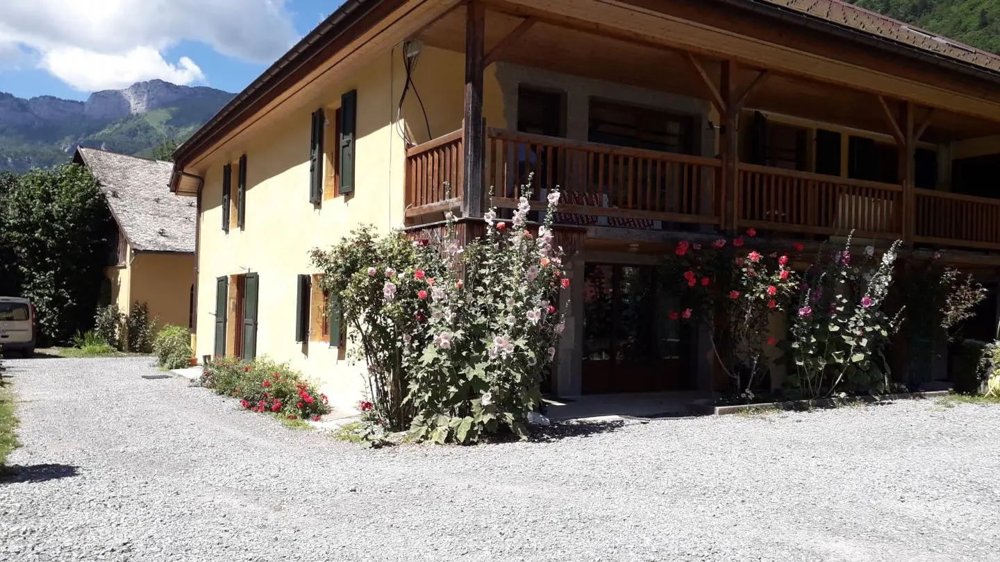 Les roses trémiéres de l'été