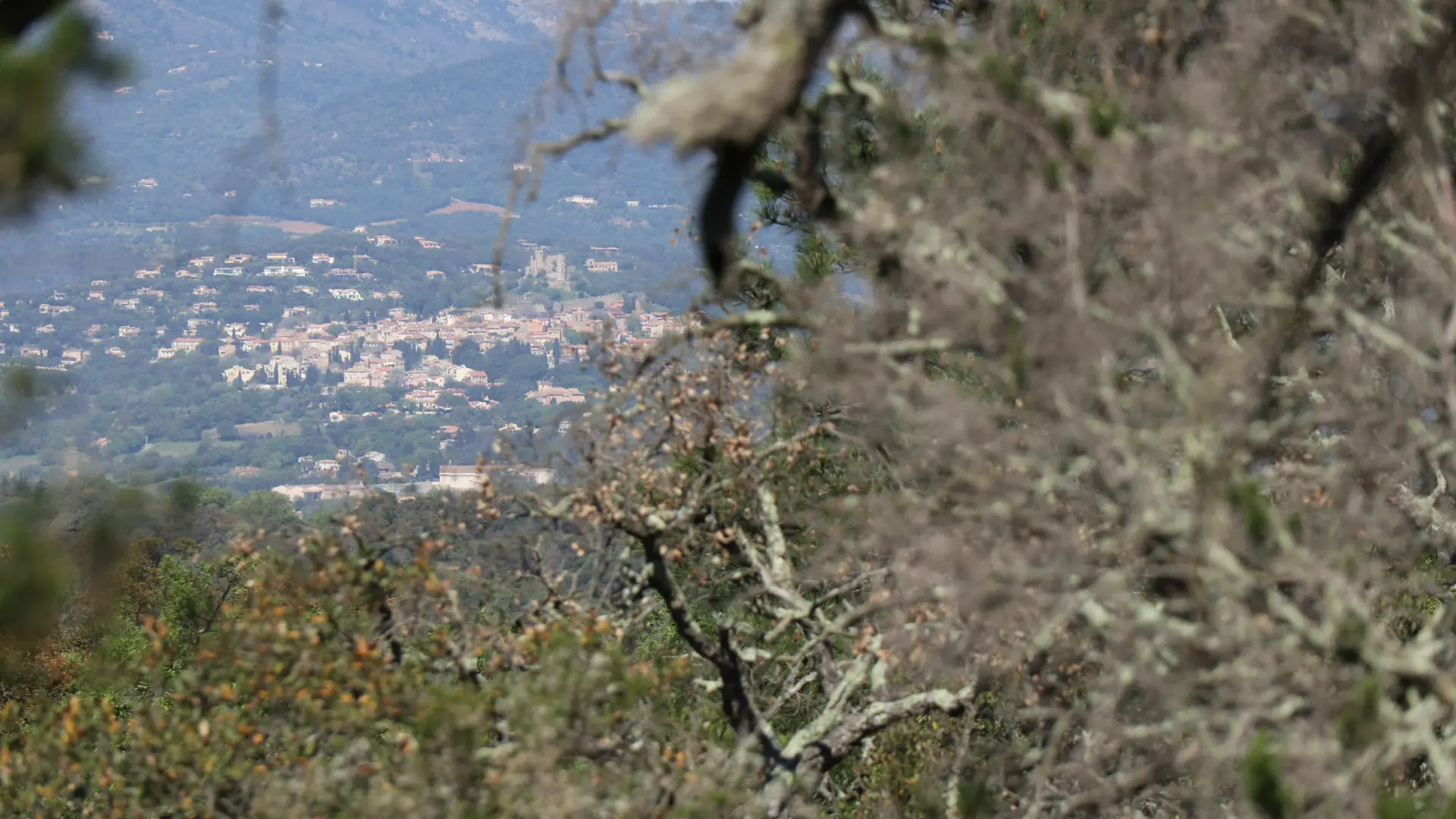 Vue sur le village de Grimaud