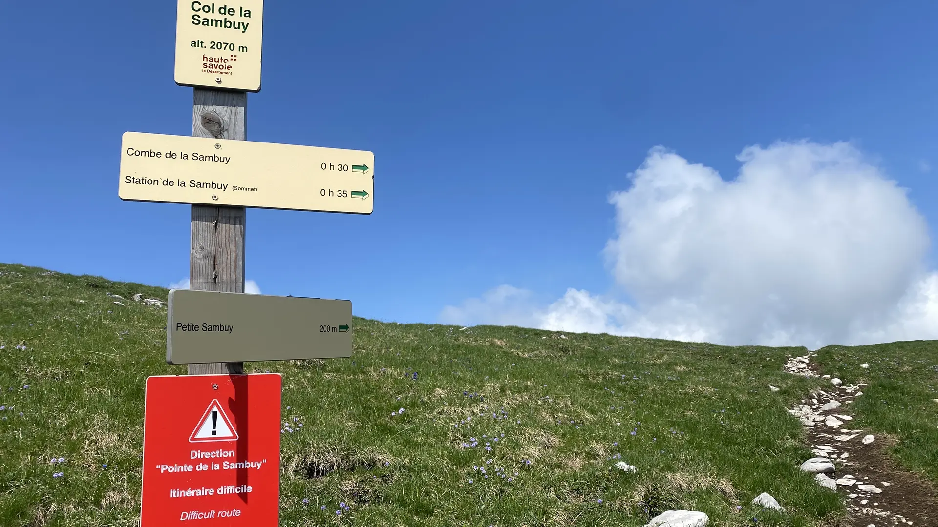 Randonnée pédestre : La Petite Sambuy via la piste forestière_Faverges-Seythenex