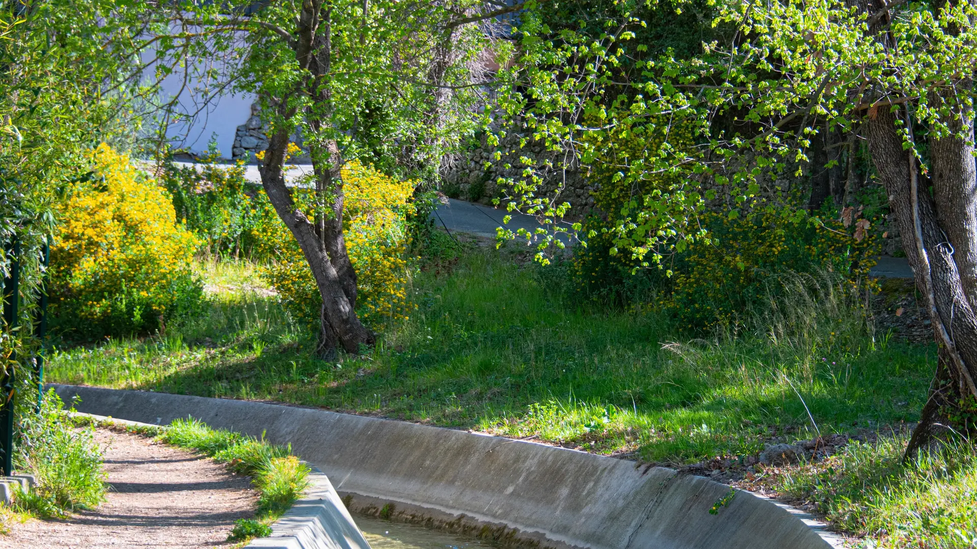 Balade le long du Canal de la Siagne