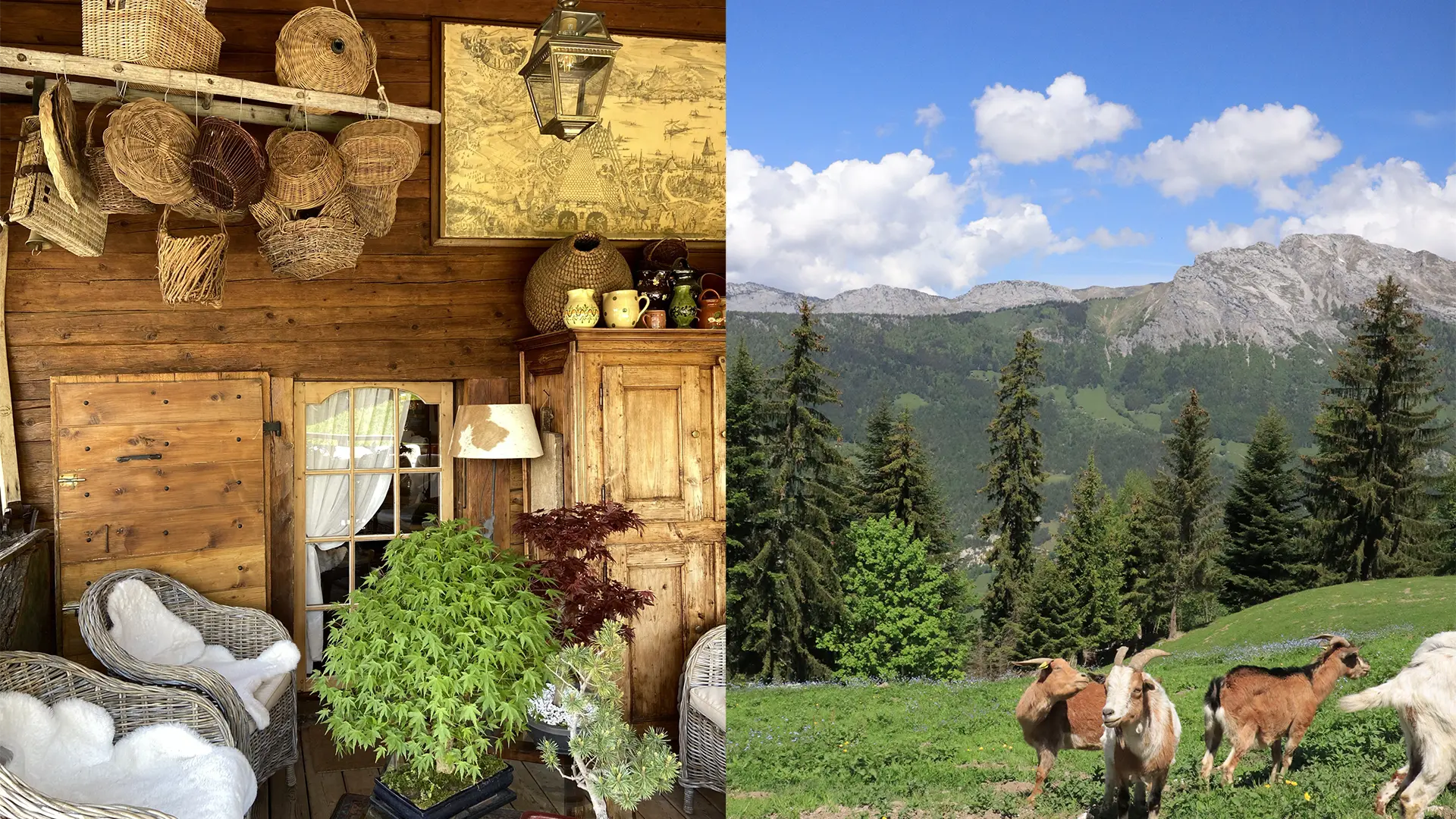 La Ferme des Vônezins_Thônes