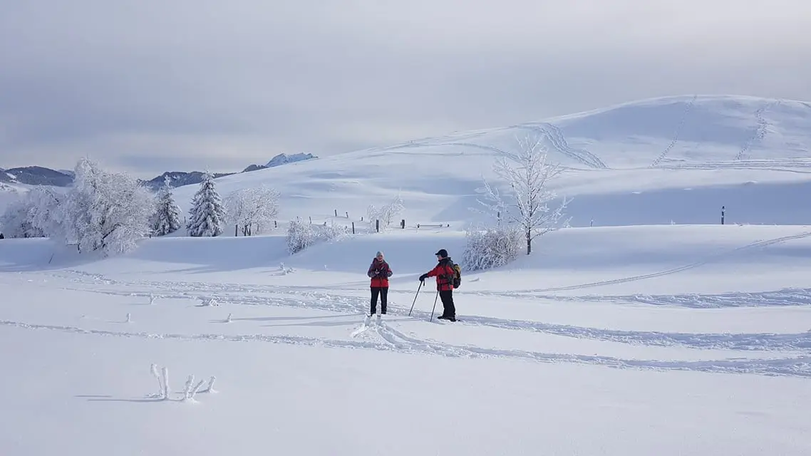 Deux personnes en randonnée raquettes sur les étendues sauvages du Plateau de Plaine Joux