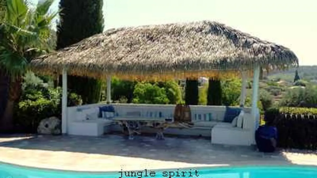 Jungle spirit Sanary