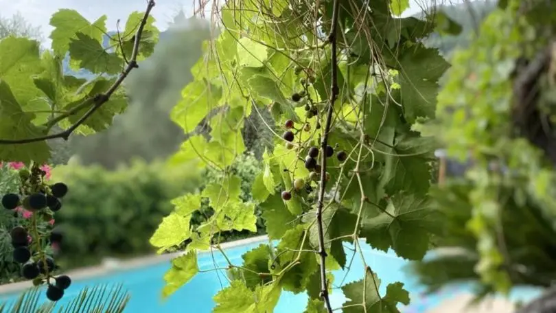 Bastide Aïna- Grasse- Gîtes de Franbce Alpes-Maritimes