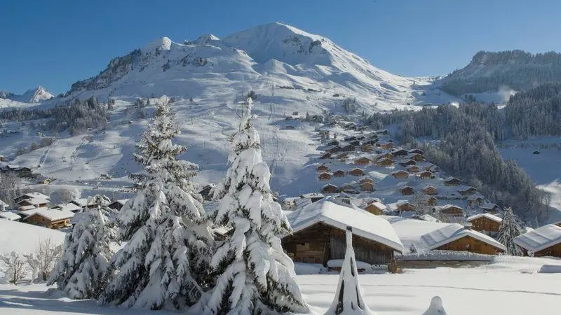 Vue d'en face, du chalet et de la proximité des pistes