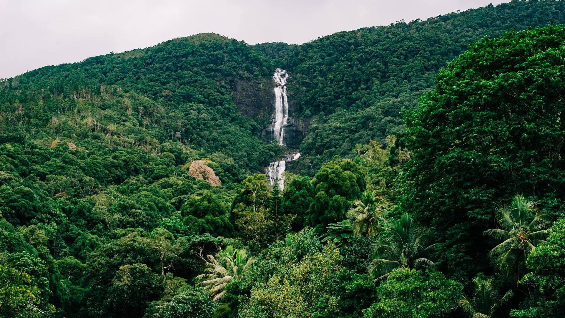 cascade, paysage, Tao, Hienghène, vert, naturel