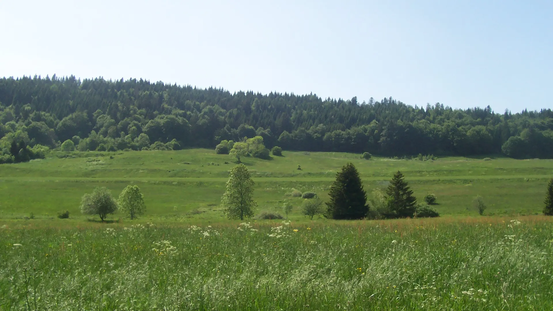 Plateau des Moises