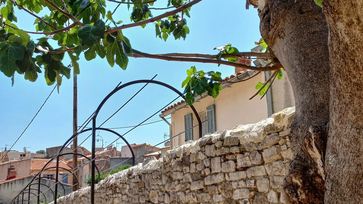 Jardin des Cédrats - Ollioules