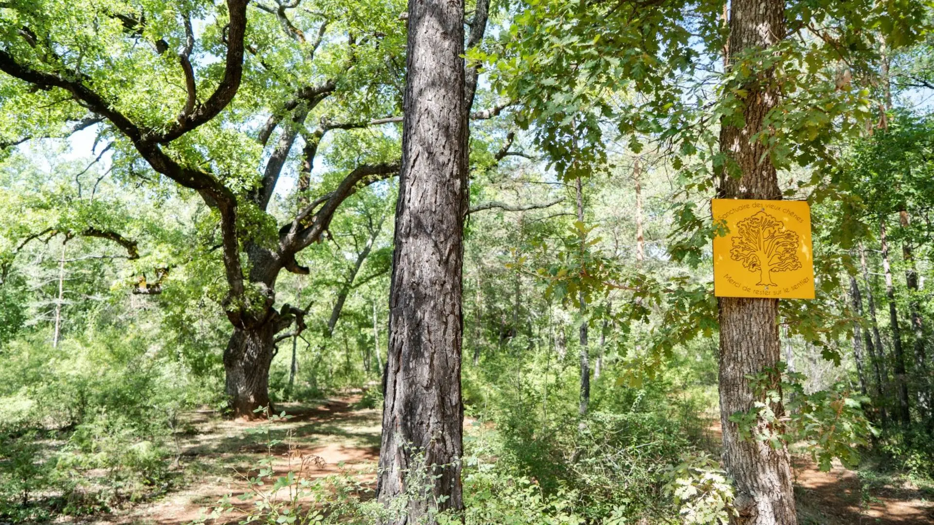Balade Photovoltaïque