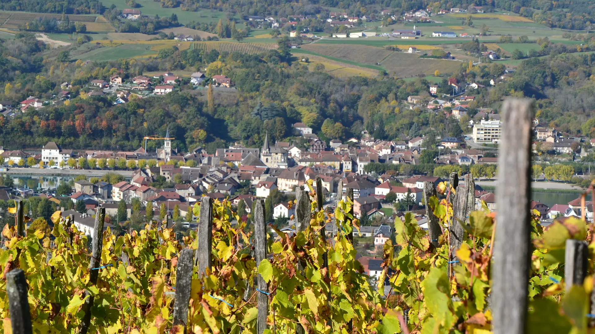 Seyssel vignes