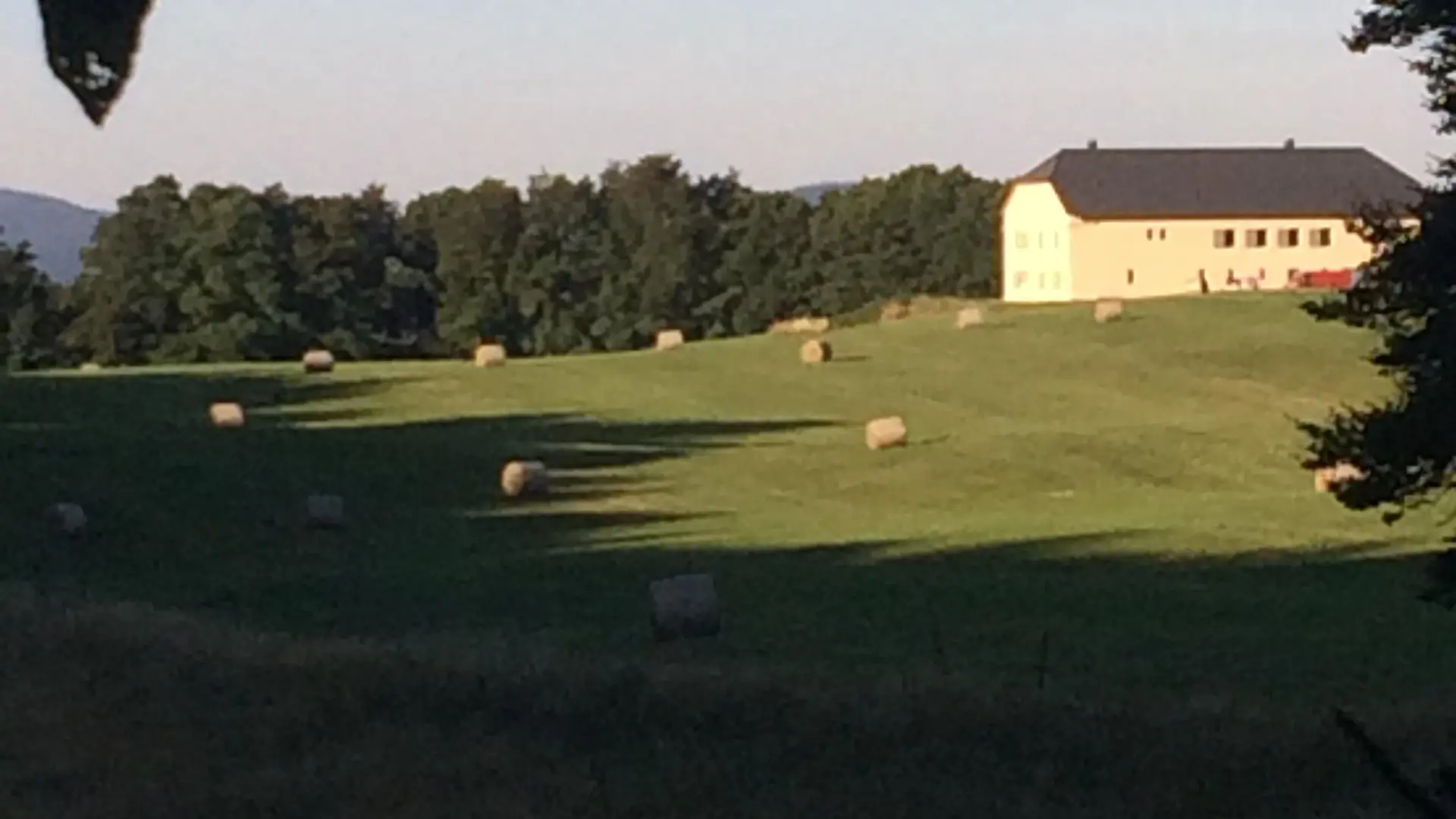 La Ferme des Taillis