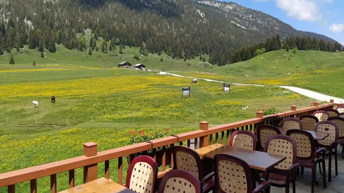 Chez Régina - Restaurant - Plateau des Glières