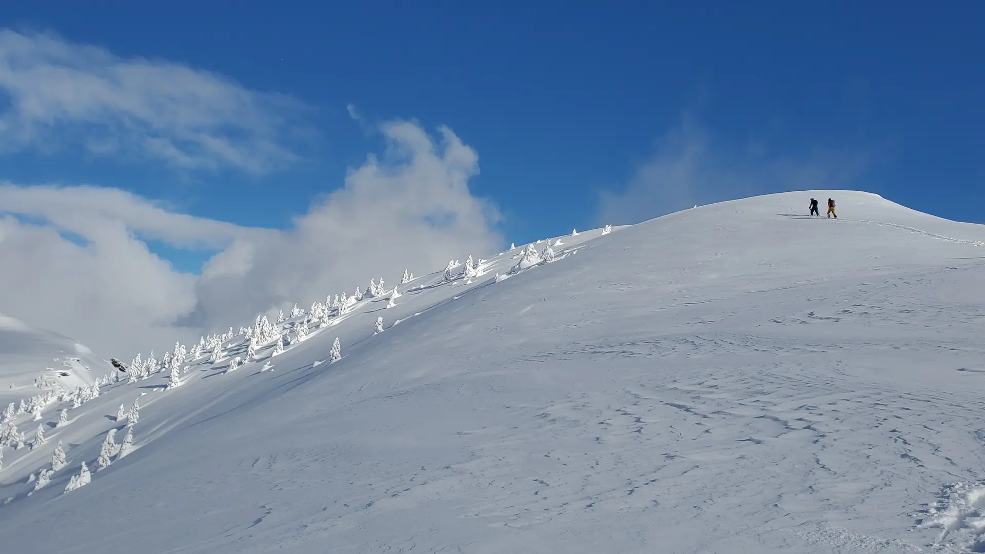 Ski de randonnée