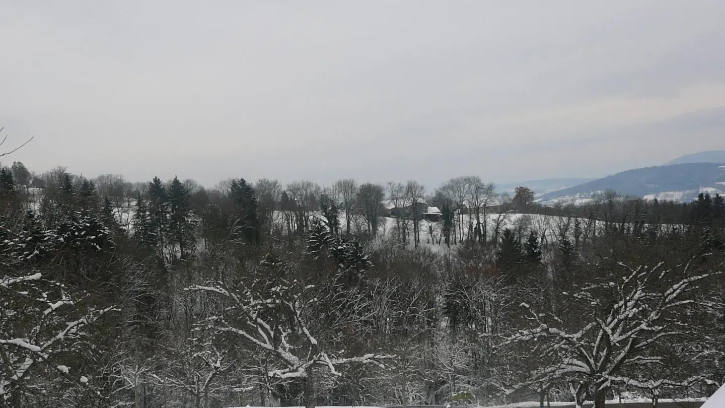 Vue Ouest du salon Petit Montoir