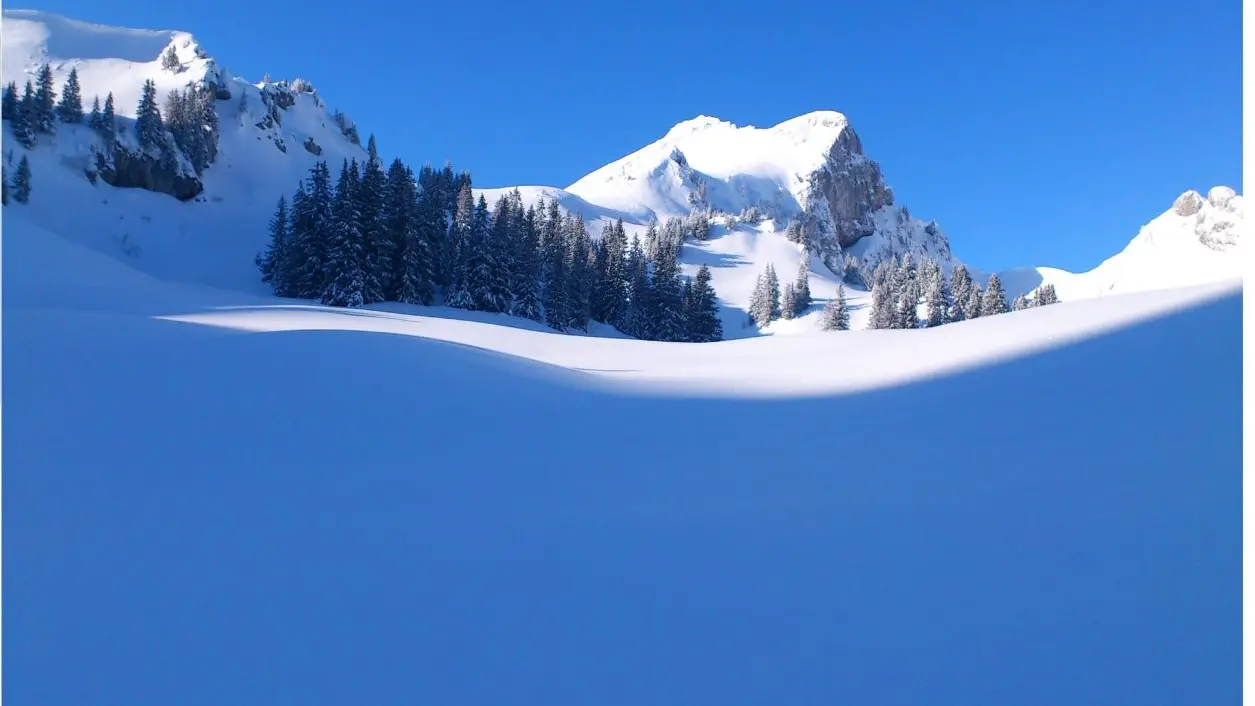 Randonnée à ski, nature sauvage, 7 kms