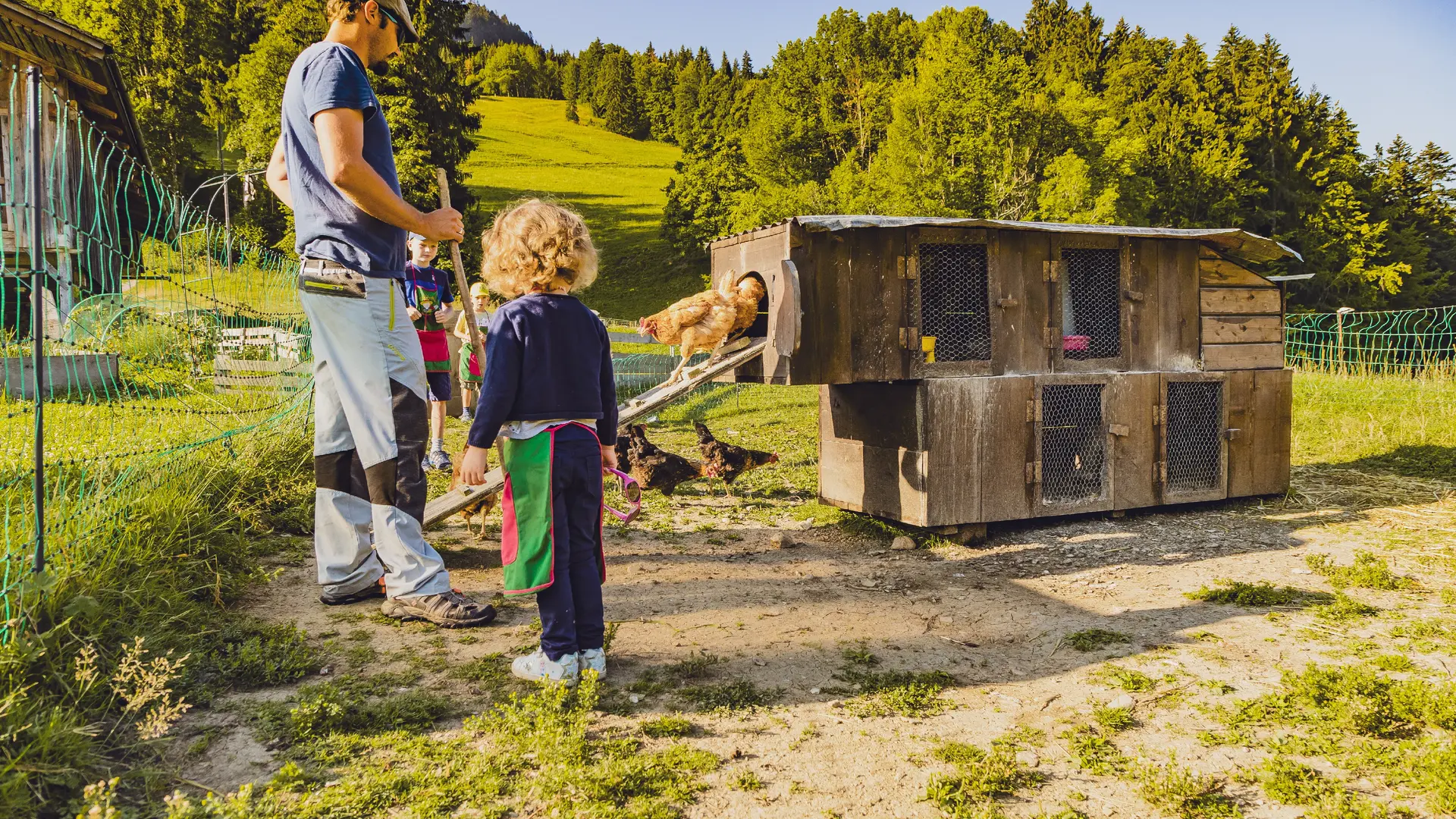 Les poules atelier les petits fermiers