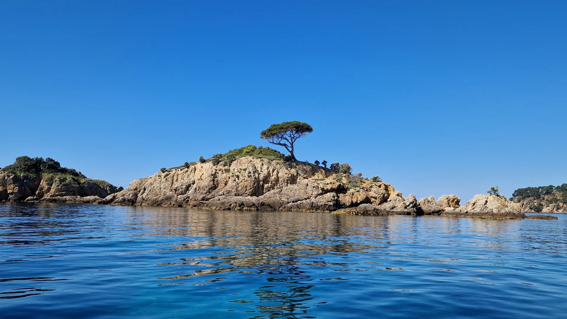 Sortie kayak accompagnée avec avec moniteur La Londe