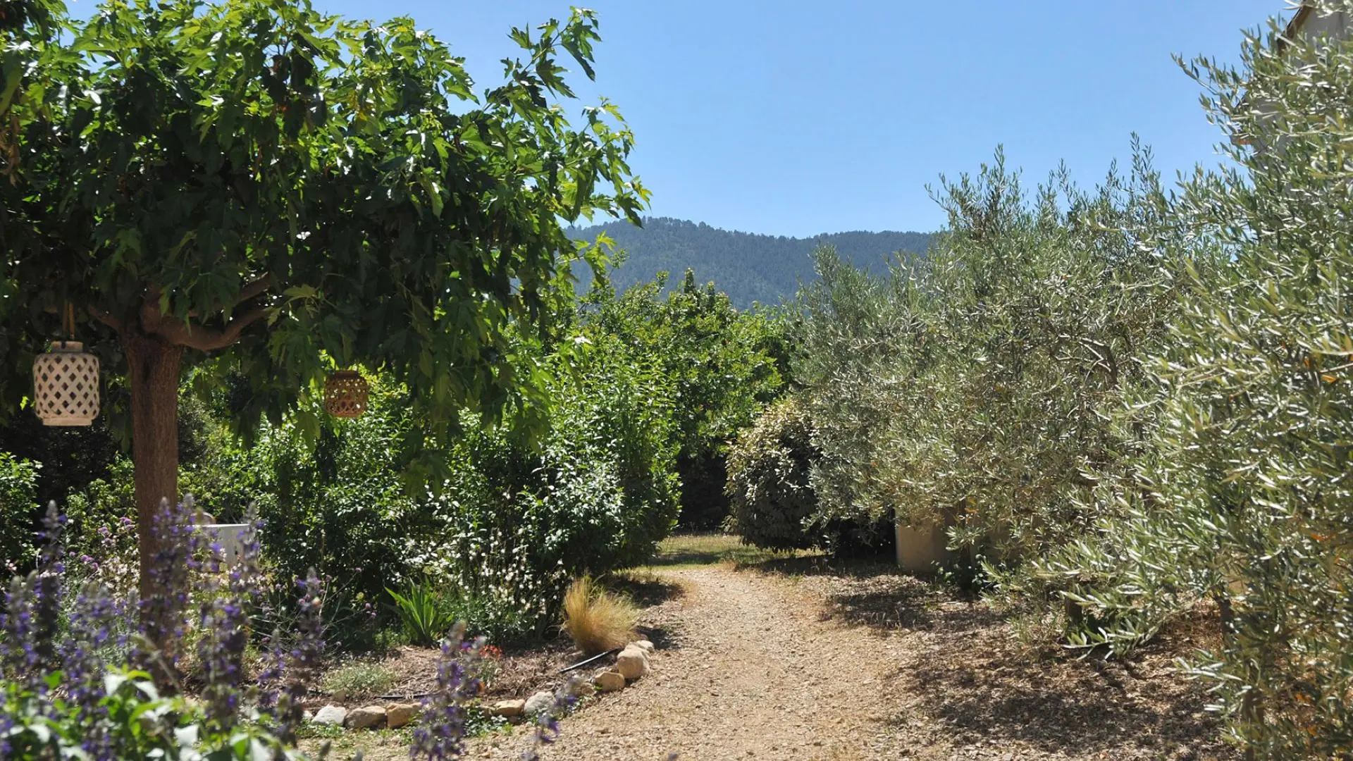 Jardin