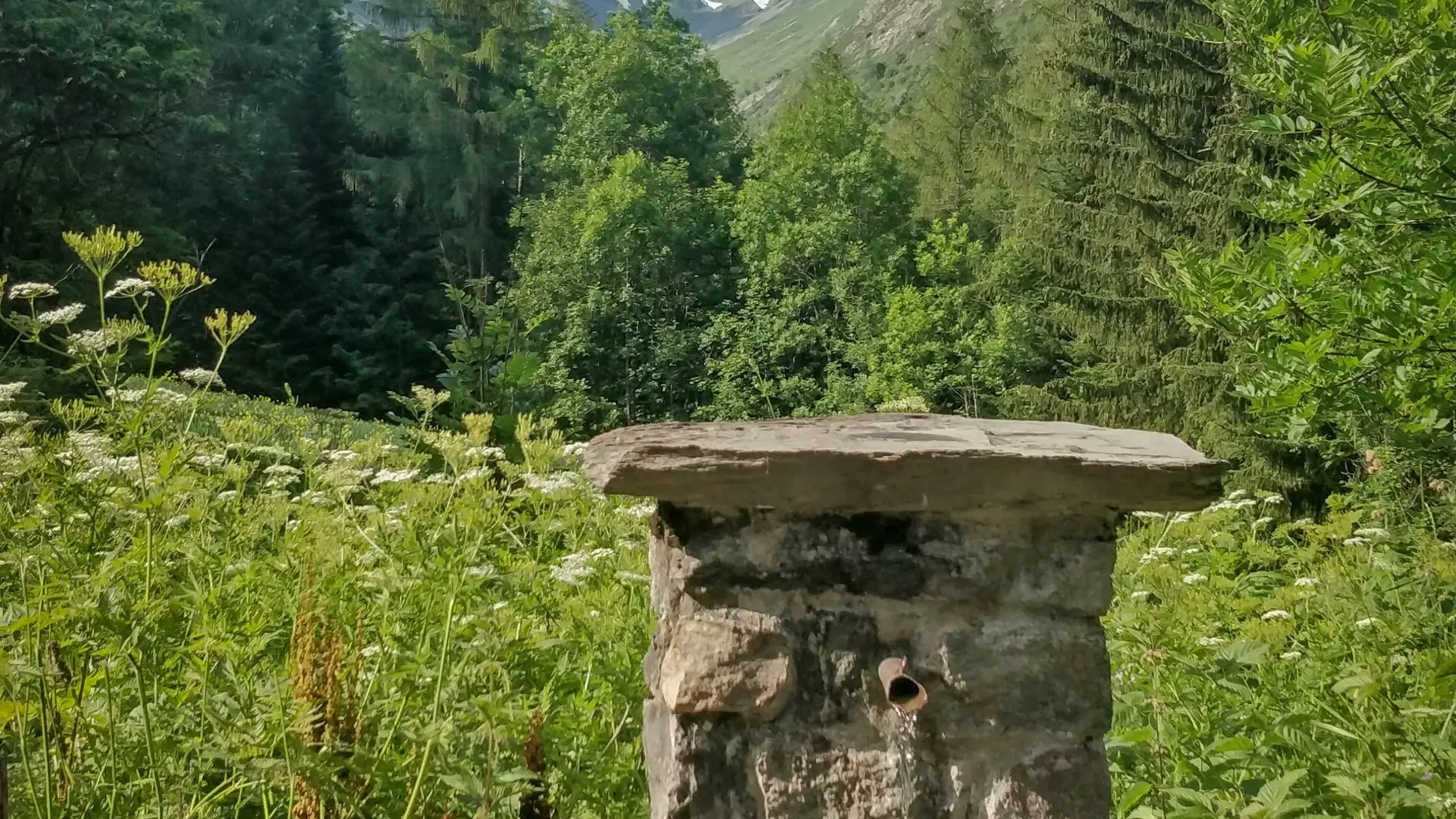 Vue sur le vallon de navette