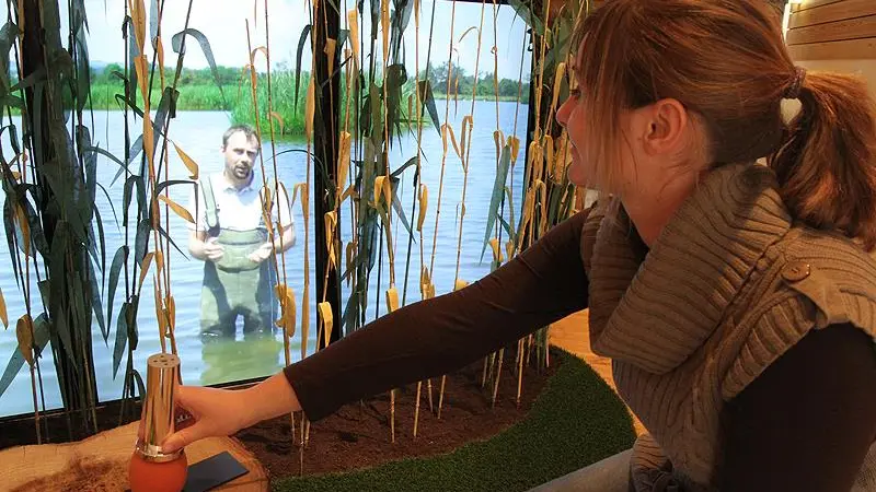 Un des pôles de la muséographie de la Maison des étangs