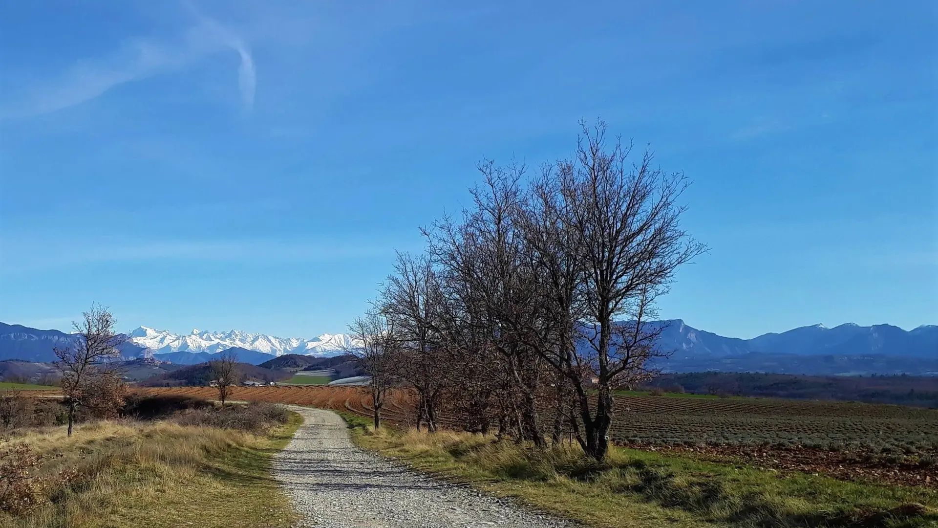 Portion sur piste