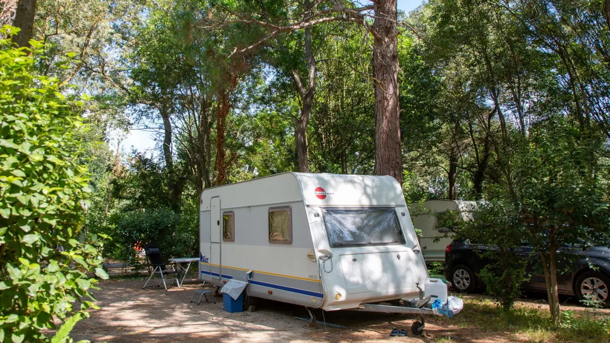 Camping Pont d'Avignon