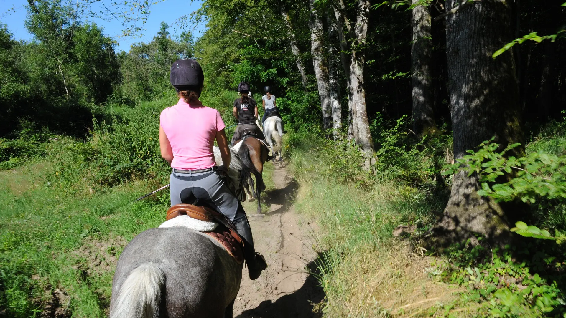 Randonnée équestre