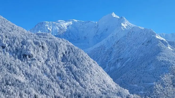 exterieur vue Mont Blanc