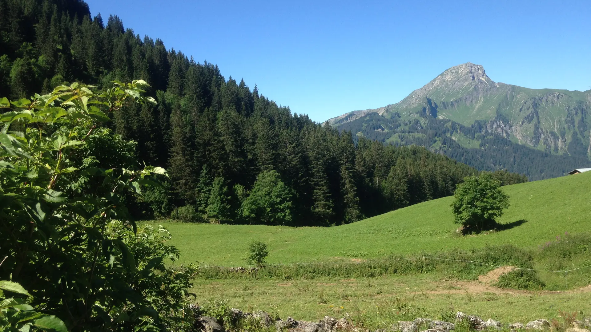 Alpage de Barbossine