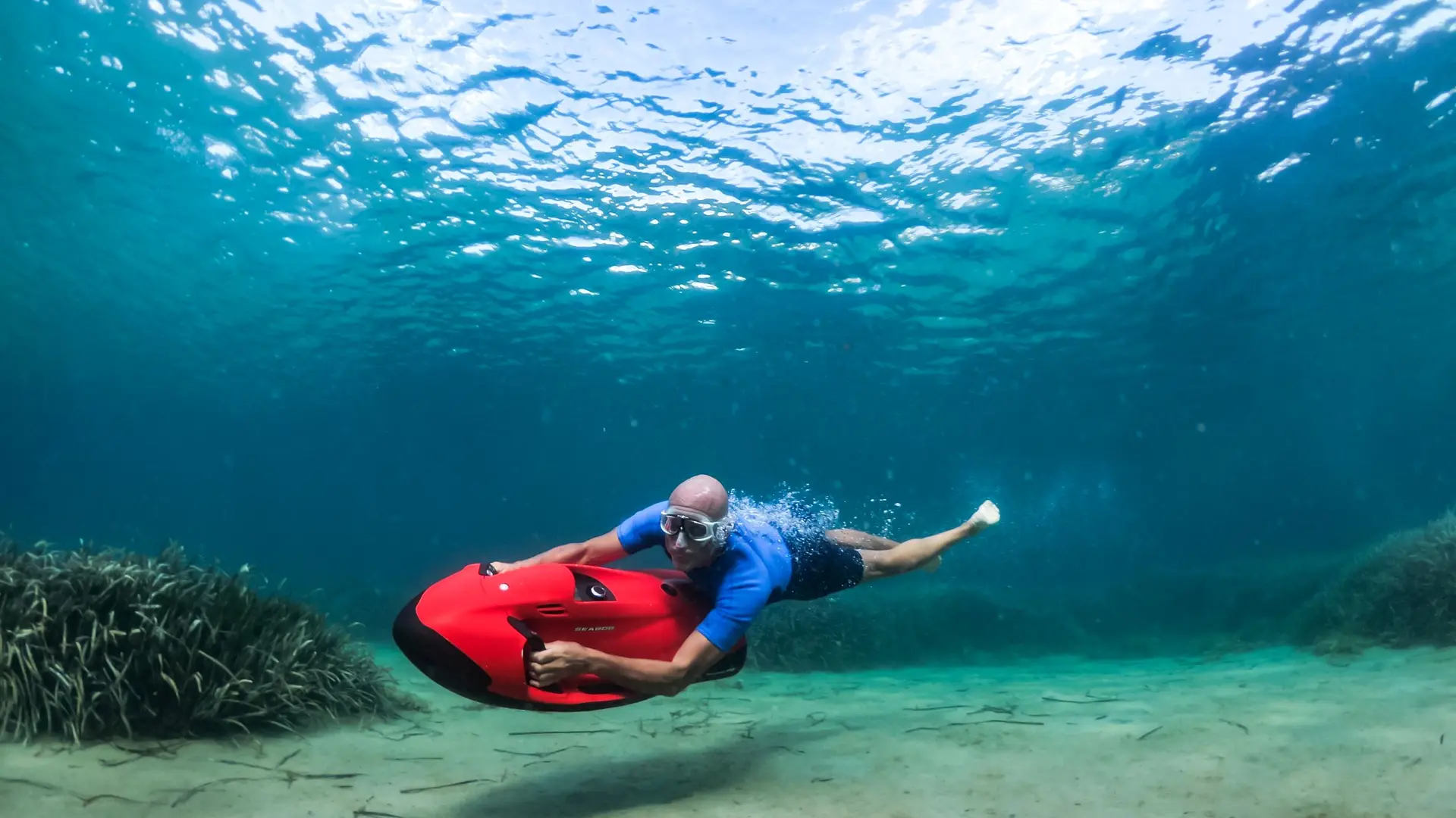 Seabob sous l'eau