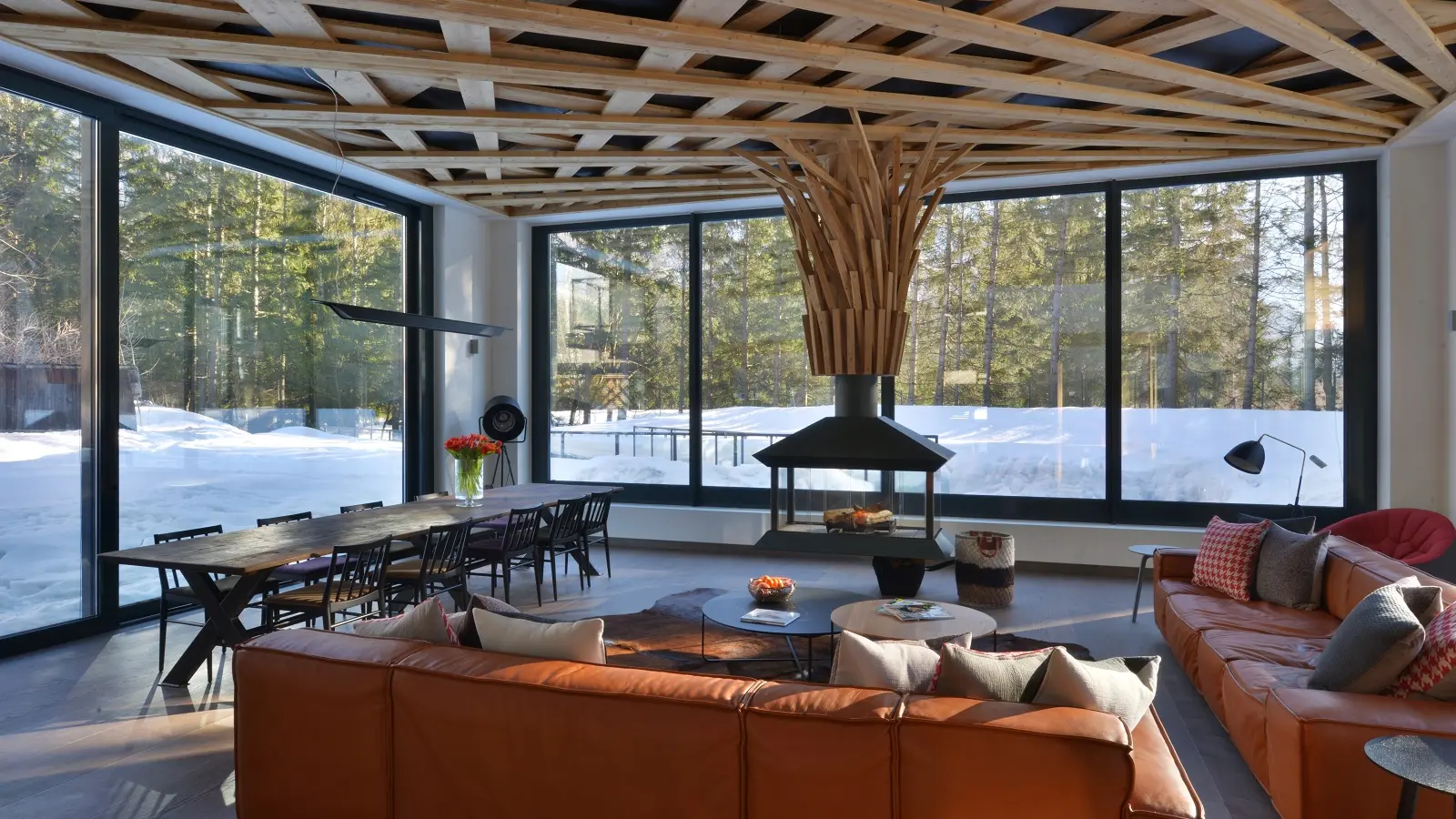 Amazon creek chamonix - pièce à vivre chalet Dalmore